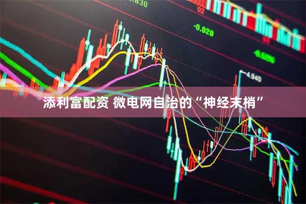 添利富配资 微电网自治的“神经末梢”
